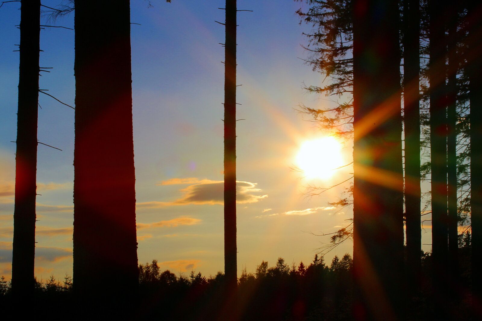 Canon EOS 650D (EOS Rebel T4i / EOS Kiss X6i) sample photo. Evening sun, sun, sunset photography
