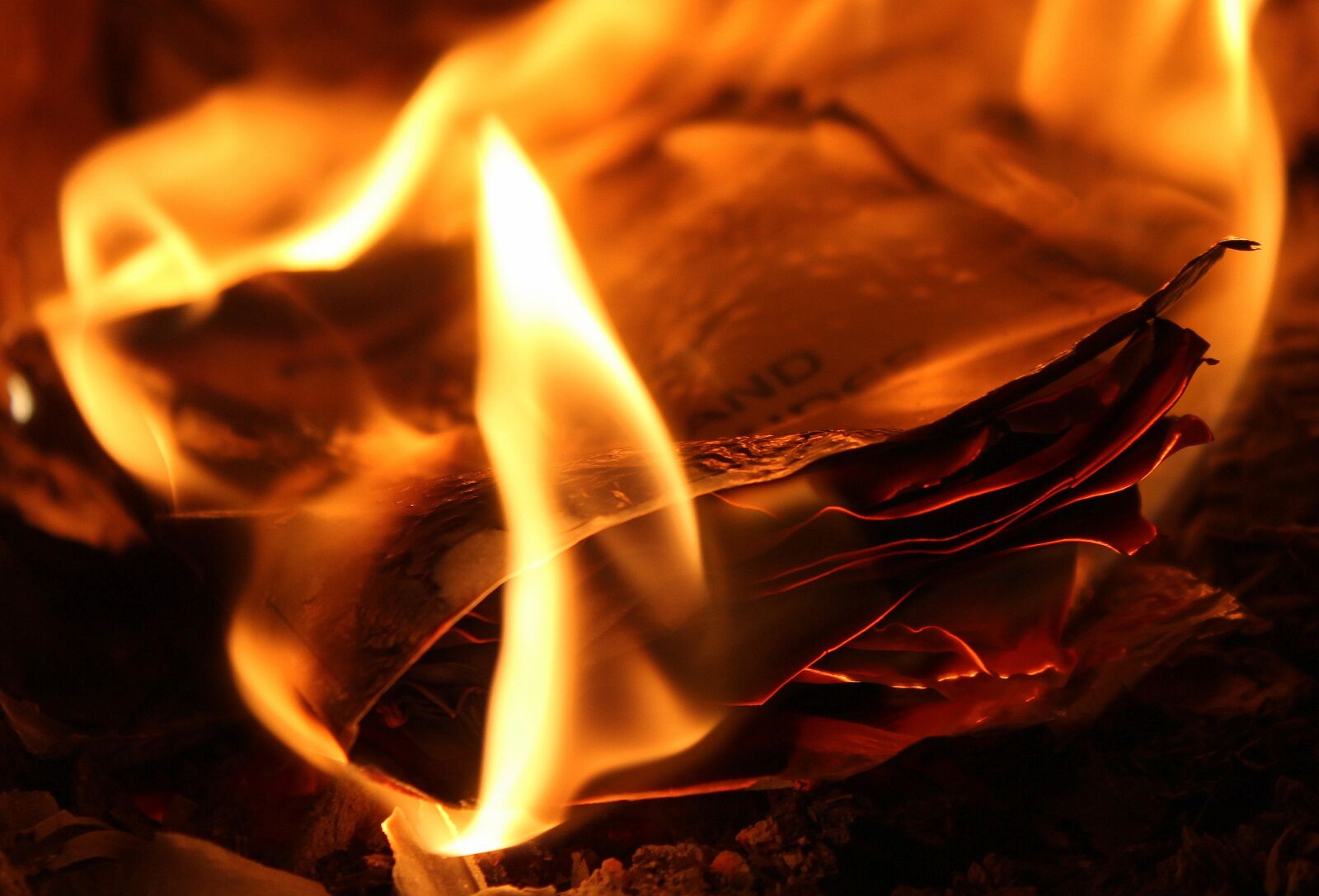 Canon EOS 1200D (EOS Rebel T5 / EOS Kiss X70 / EOS Hi) sample photo. The flame, fire, burn photography