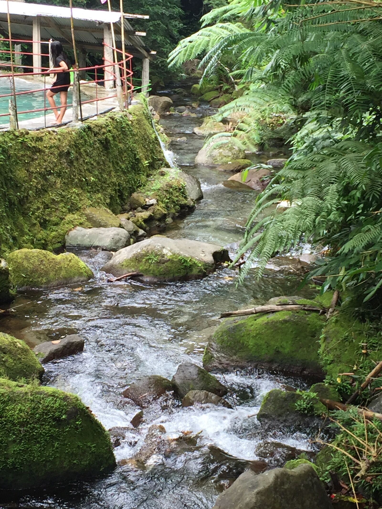 iPhone 6 back camera 4.15mm f/2.2 sample photo. Nature, waterfall, outdoors photography