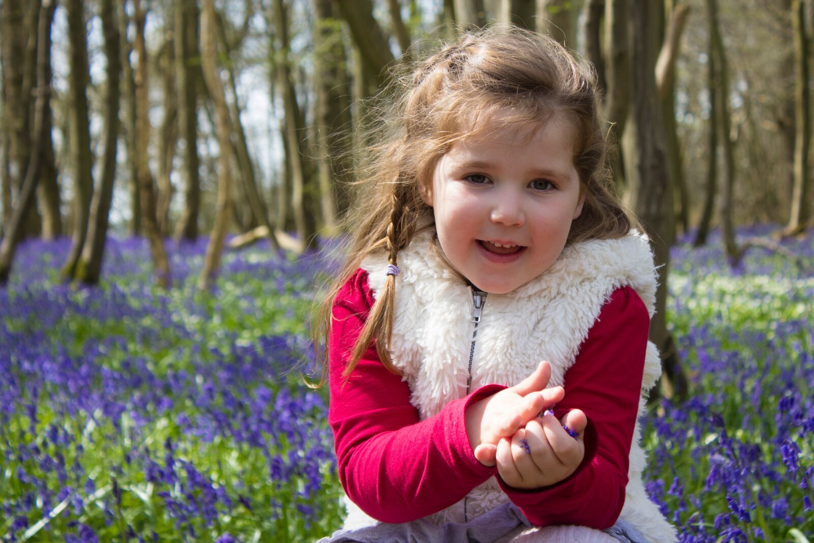 Canon EOS 600D (Rebel EOS T3i / EOS Kiss X5) sample photo. Bluebells, woods, english photography