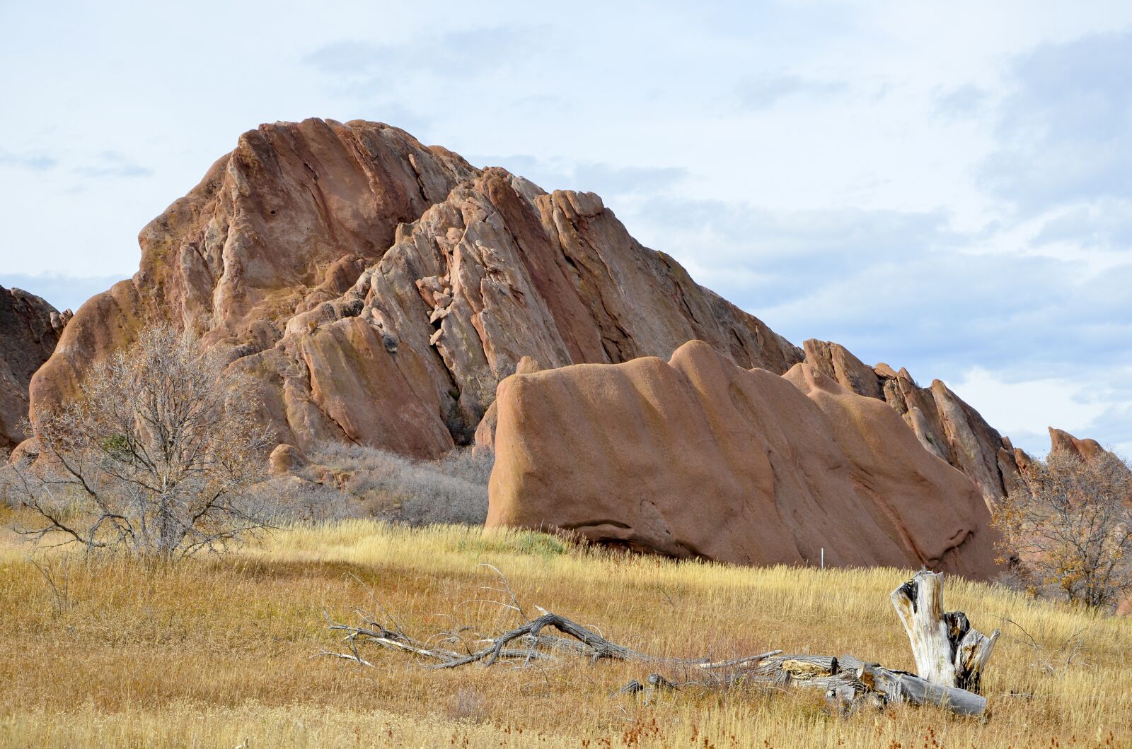 Nikon D7000 sample photo. Denver, fall color, mountain photography