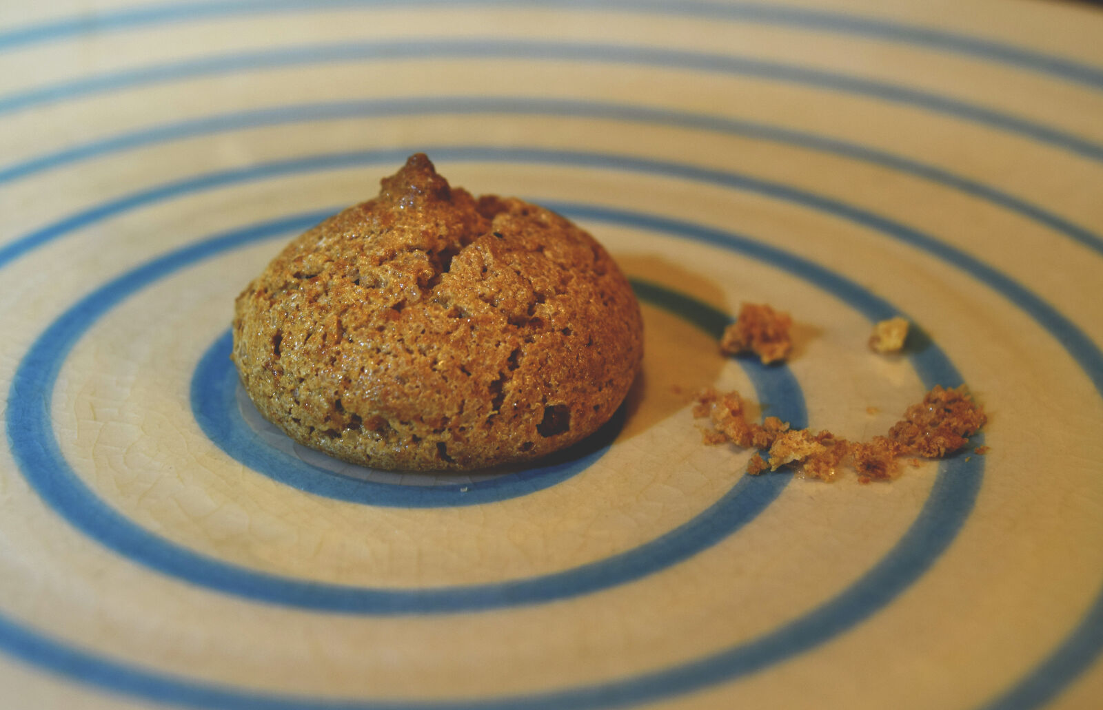 Nikon D3300 sample photo. Amaretti, autumn, cookie, italian photography
