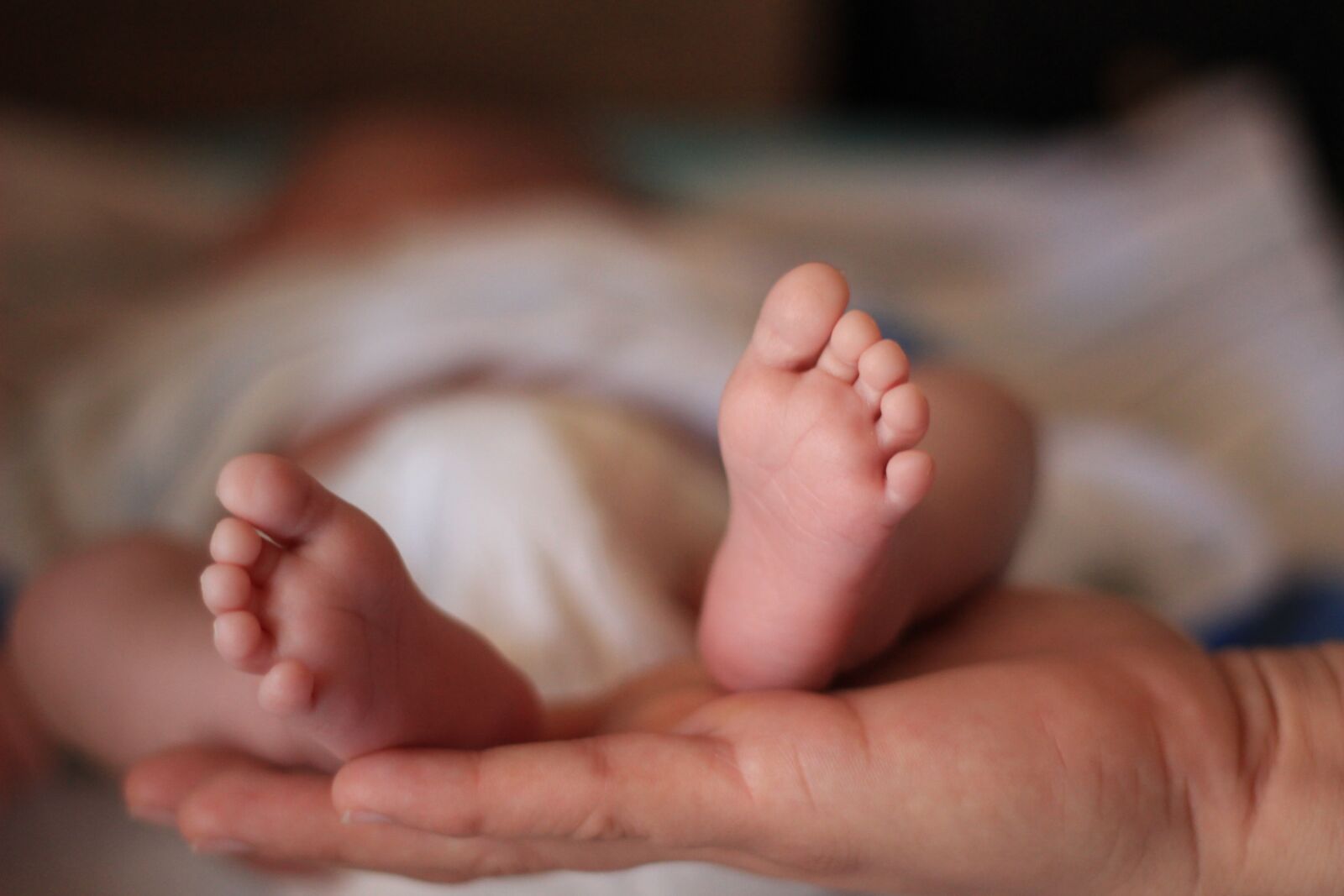 Canon EOS 600D (Rebel EOS T3i / EOS Kiss X5) + Canon EF 50mm F1.8 II sample photo. Small, baby, new born photography