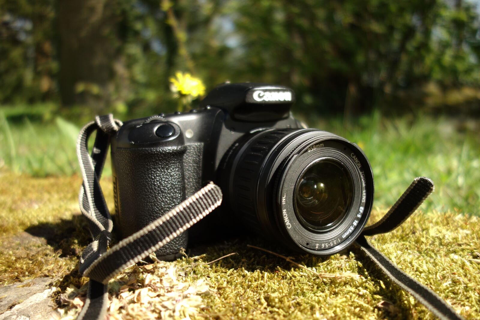 Sony Cyber-shot DSC-RX100 sample photo. Camera, photography, canon photography