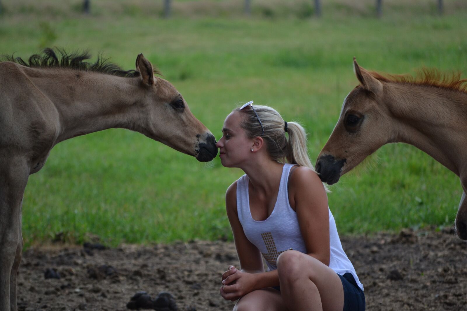 Nikon D3100 sample photo. Foal, pasture, love animals photography