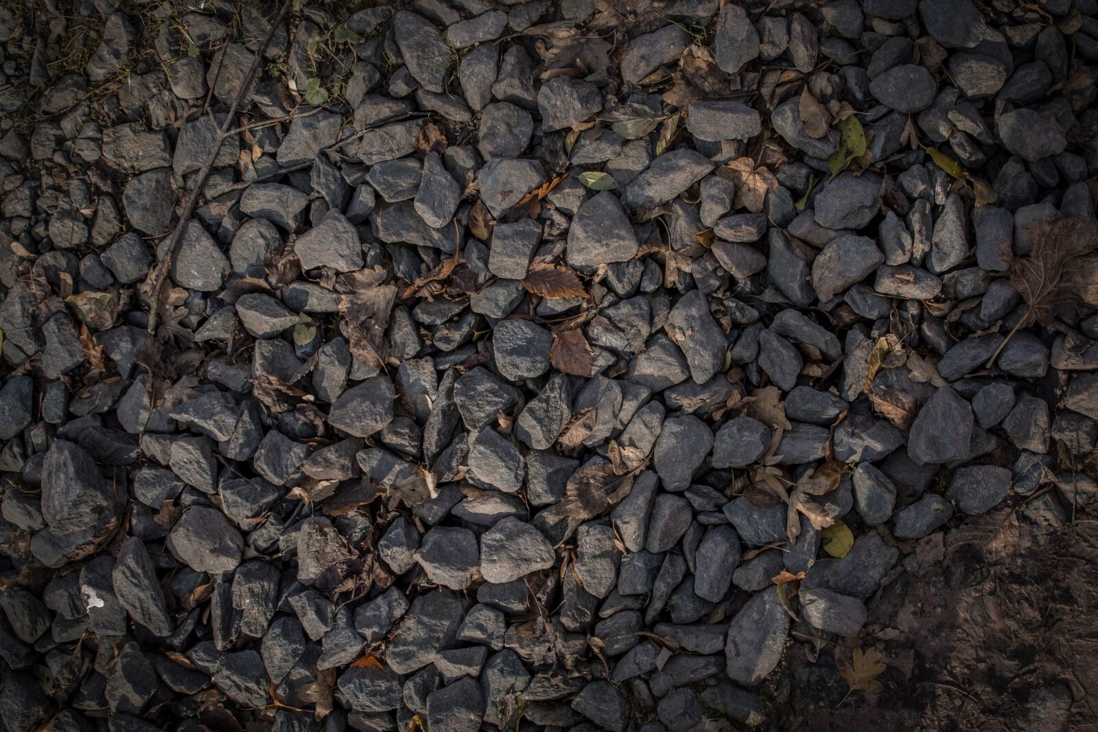 Canon EOS 600D (Rebel EOS T3i / EOS Kiss X5) sample photo. Autumn leaf, gravel, grey photography