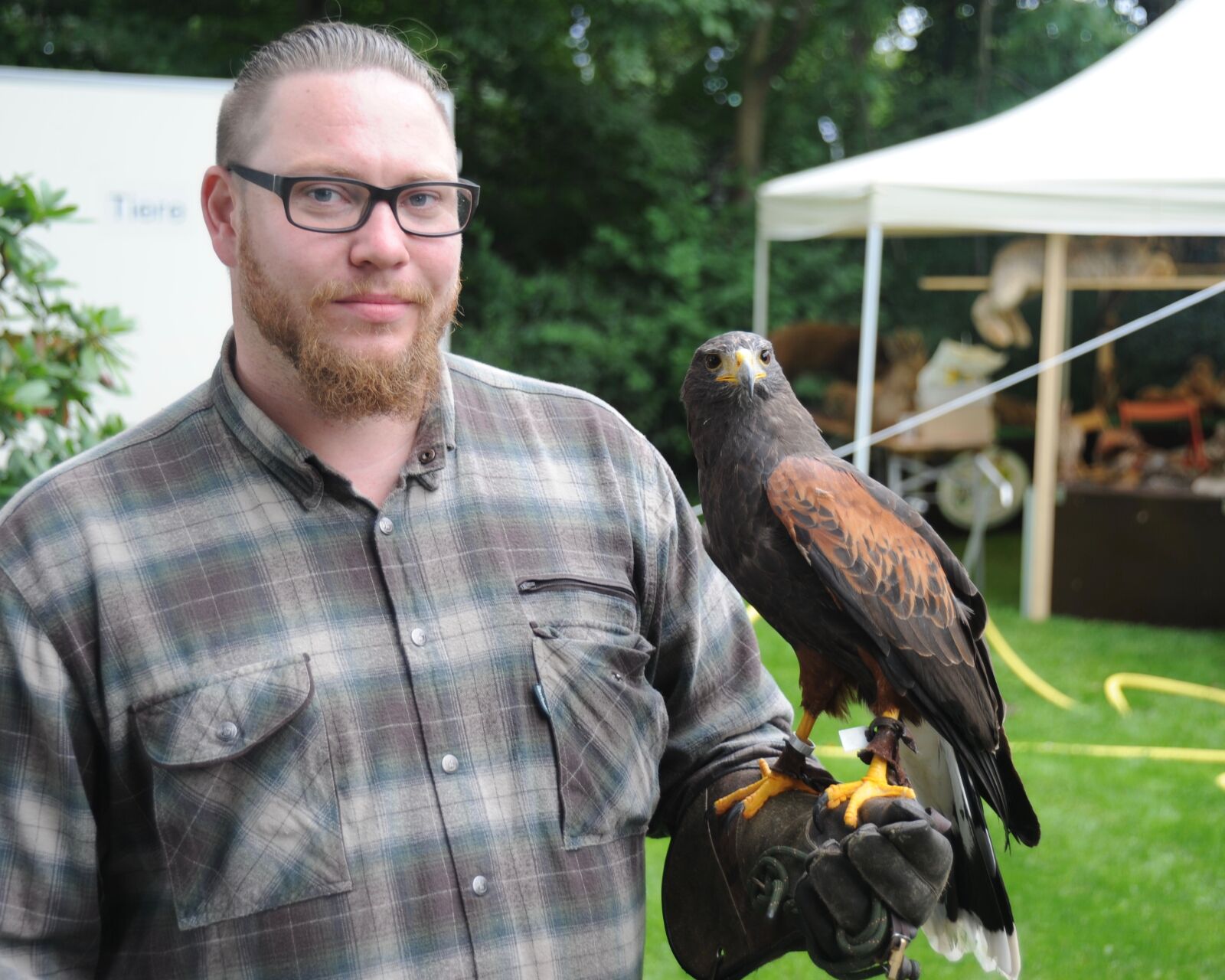 Nikon D700 sample photo. Bald, bird, raptor photography