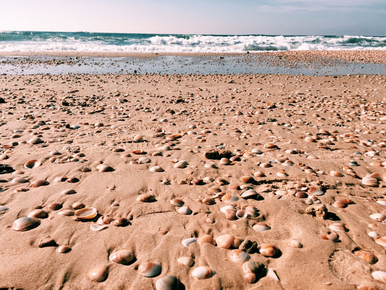 Apple iPhone 6s sample photo. Beach, mediterranean, shells photography