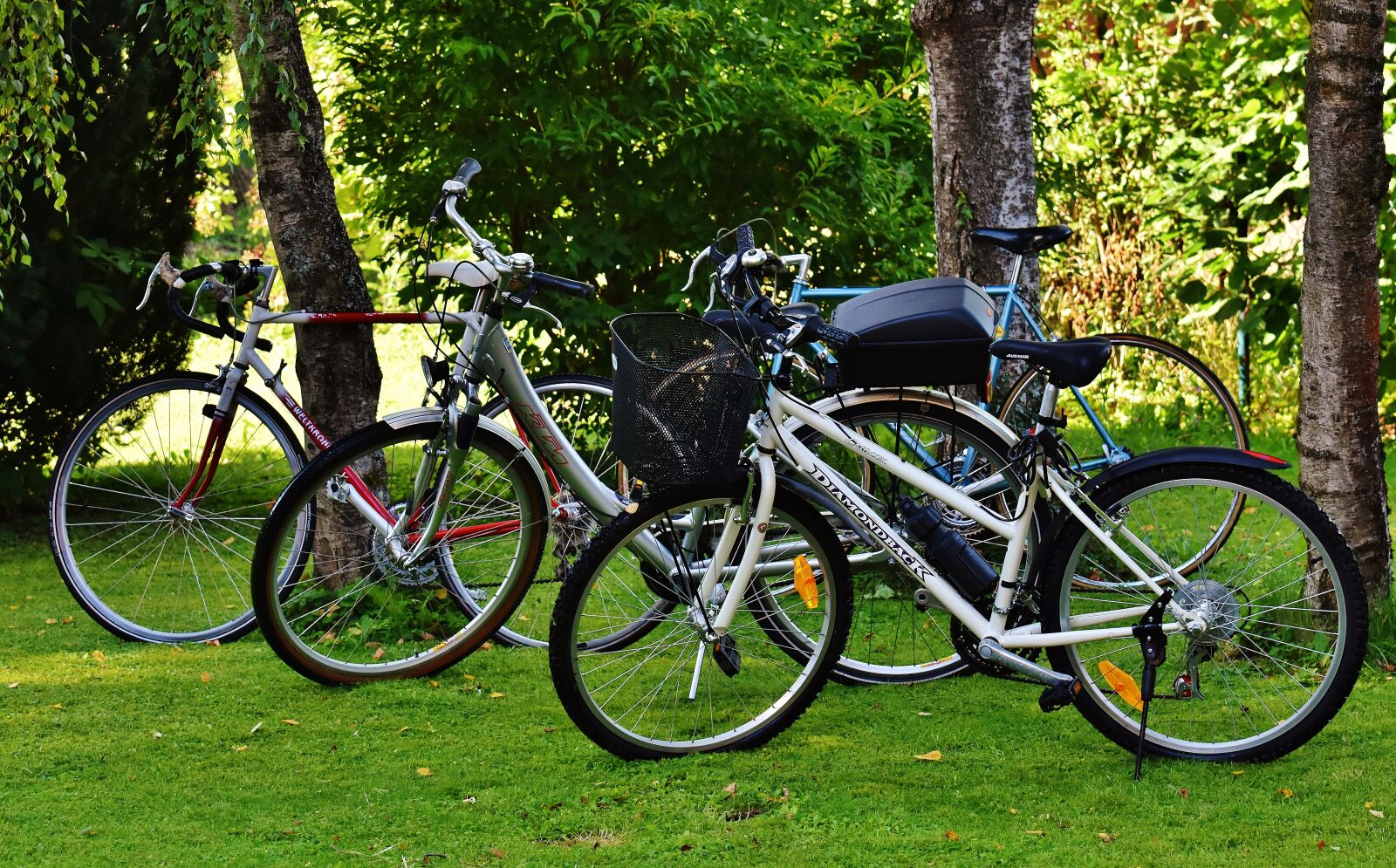 Nikon D7200 sample photo. Bicycles, cycle, bike photography