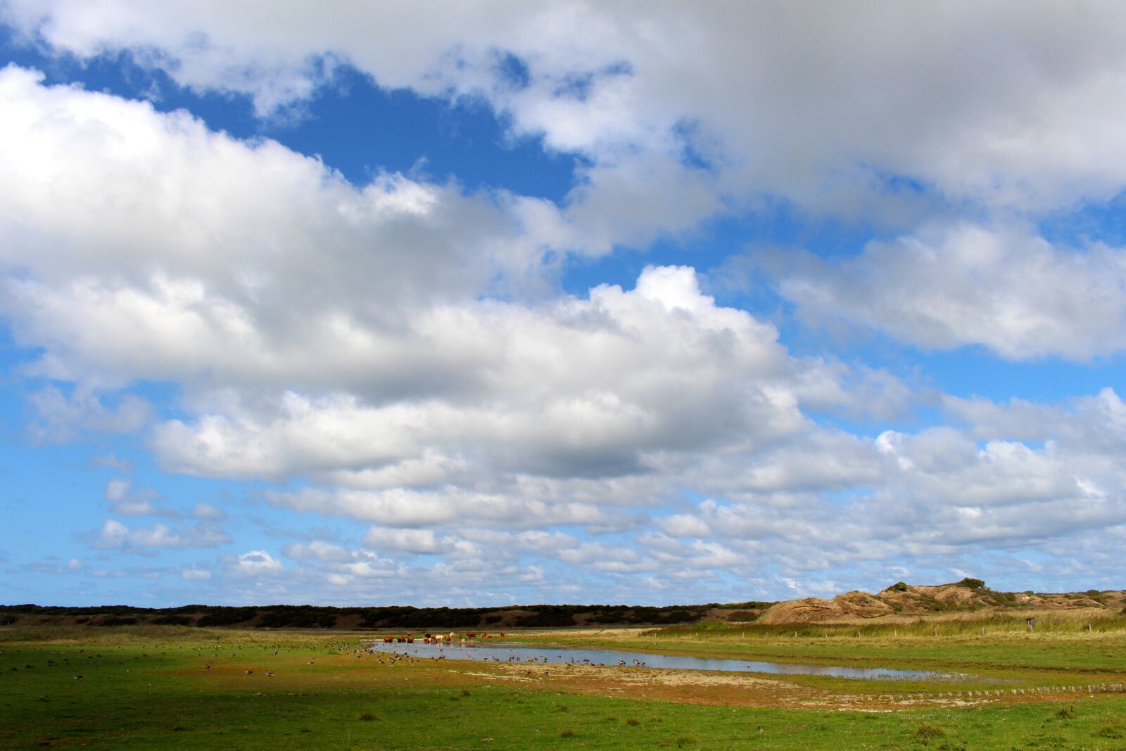 Canon EOS 700D (EOS Rebel T5i / EOS Kiss X7i) sample photo. Landscape, langeoog, nature photography