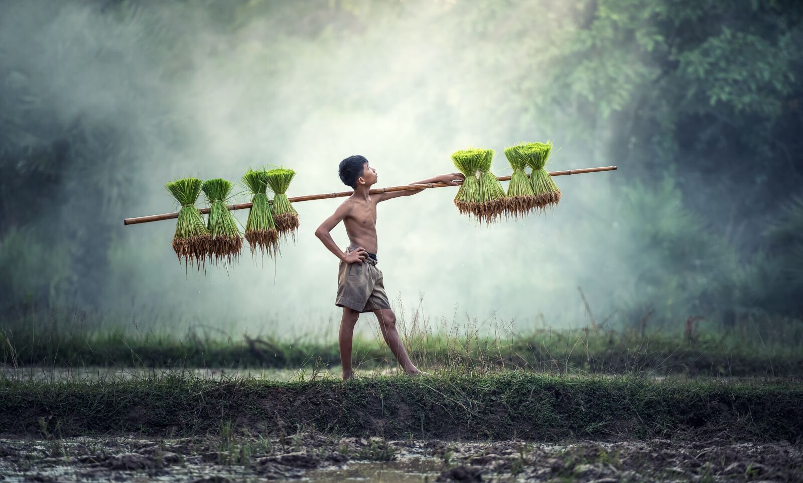 Nikon D810 sample photo. Agriculture, asia, cambodia photography