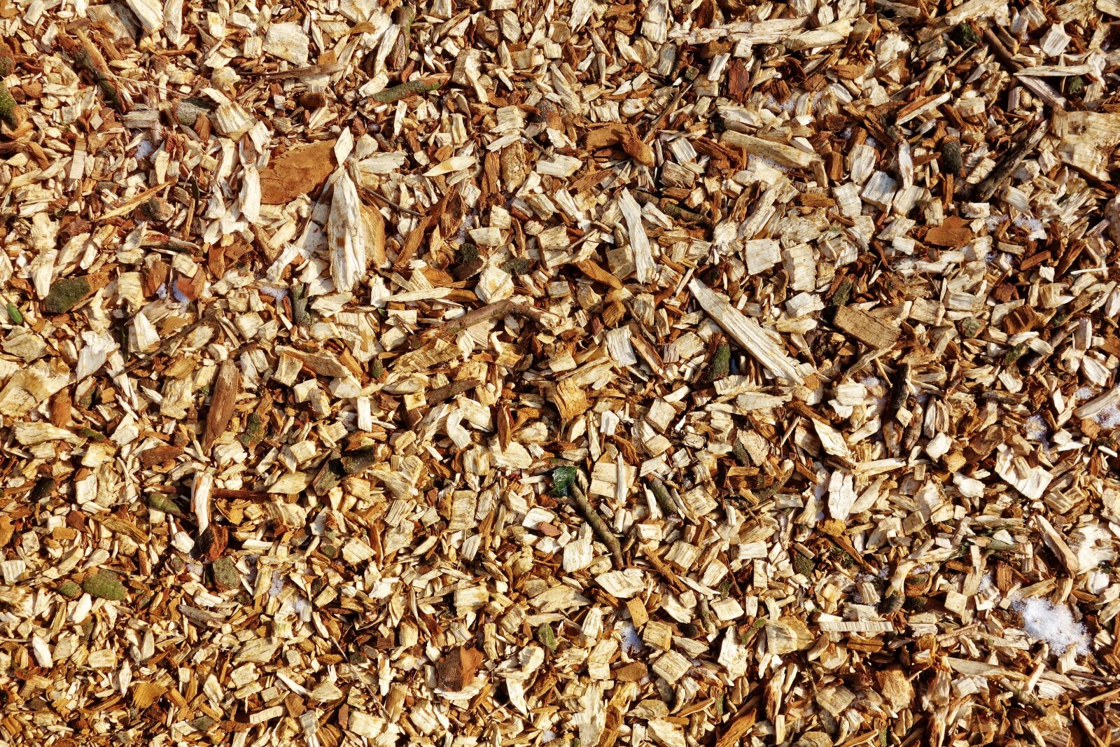 Sony Cyber-shot DSC-RX100 sample photo. Wood chips, chips, material photography