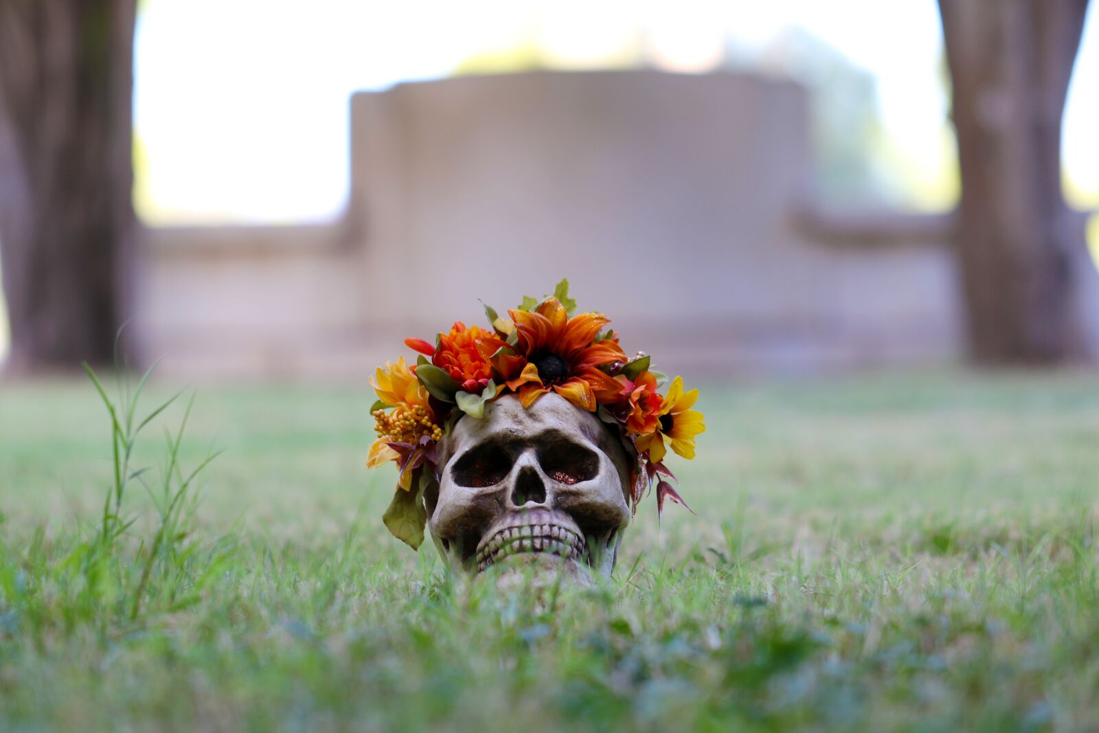 Canon EOS 7D Mark II + Canon EF 100mm F2.8L Macro IS USM sample photo. Skull, skulls and, flowers photography