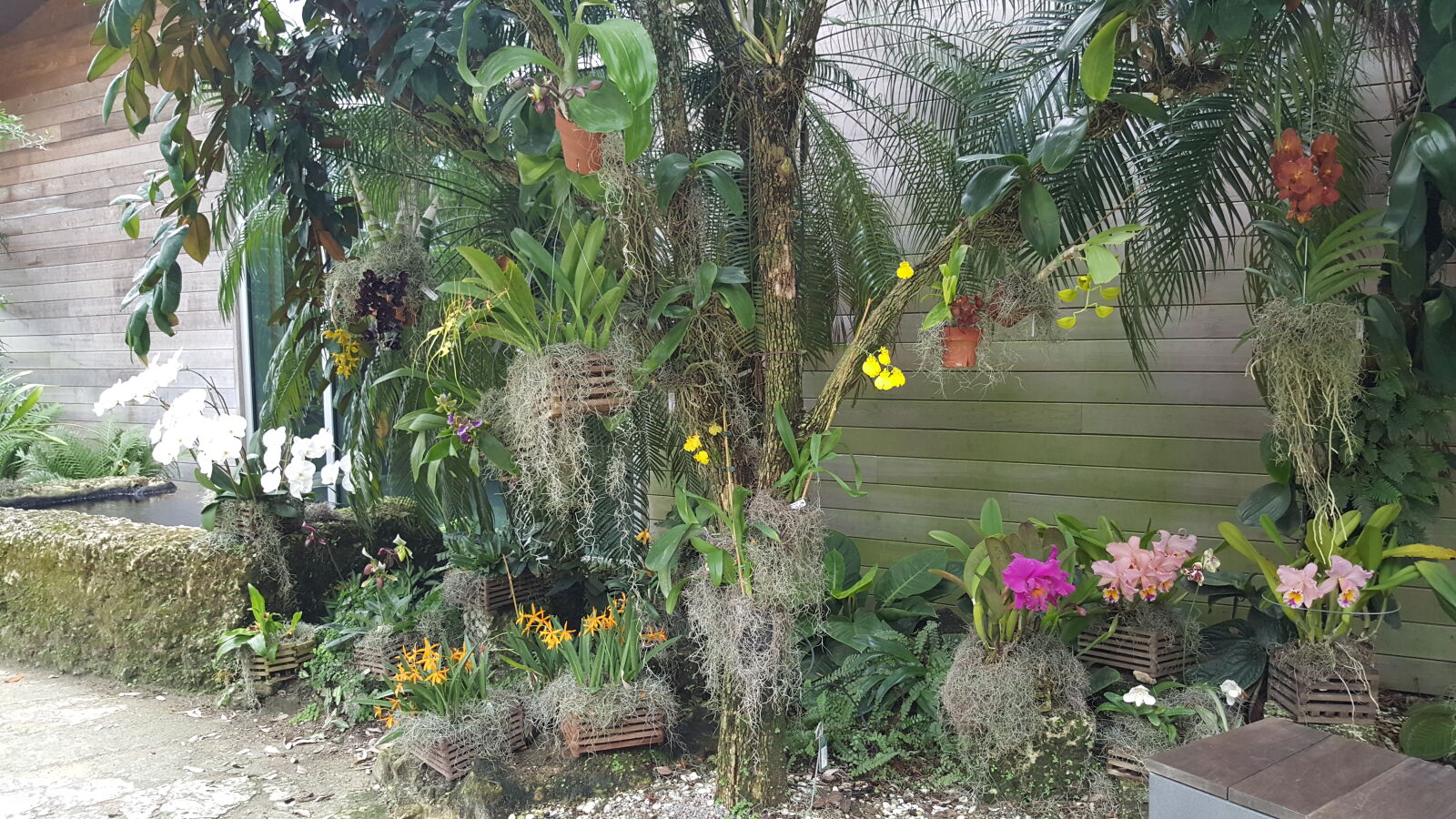 Samsung GALAXY S6 edge sample photo. Botanical, gardens photography