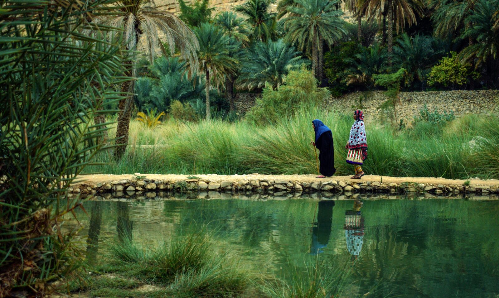 Nikon D3300 sample photo. Oman, nature, aging photography