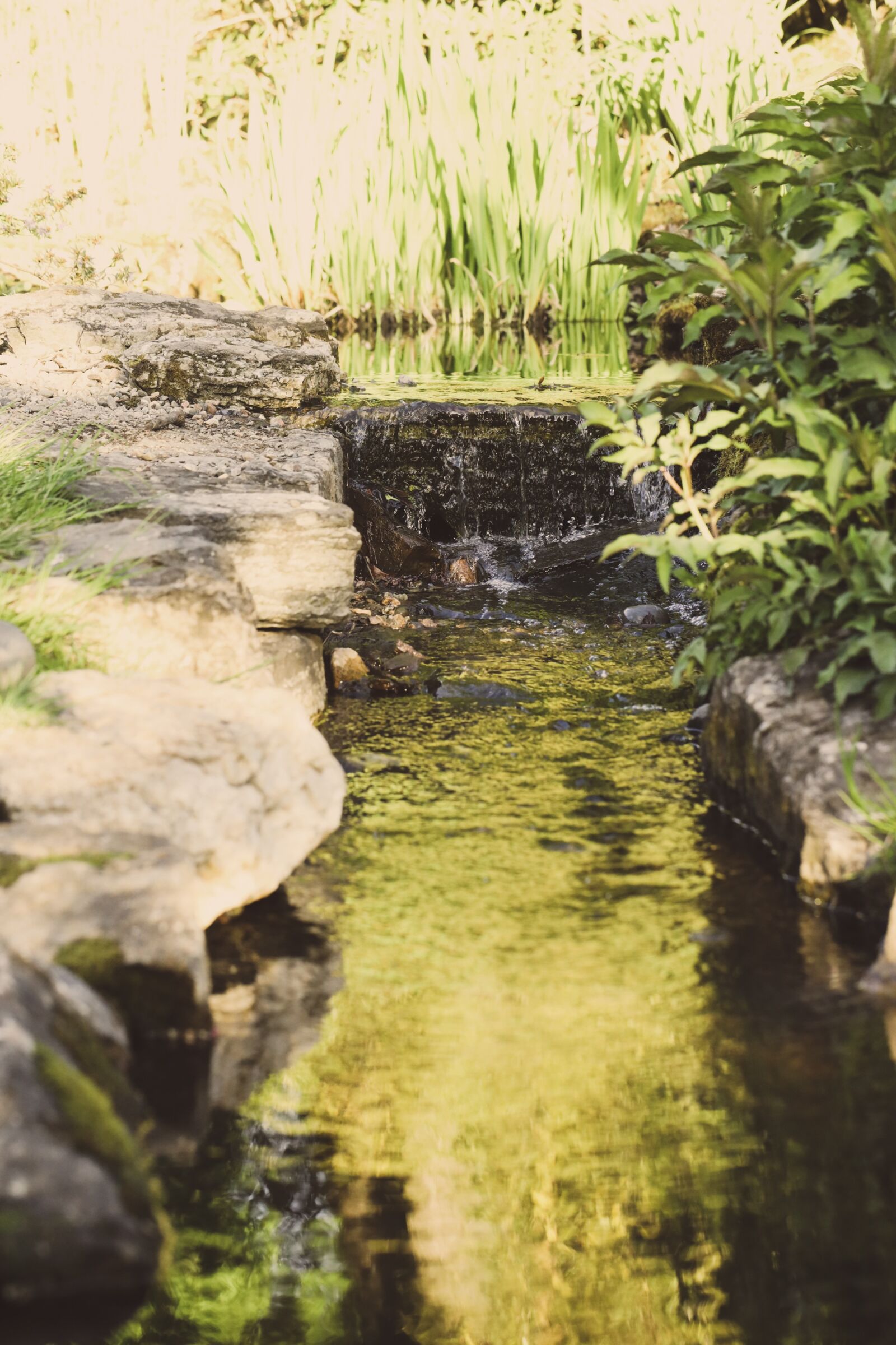 Canon EOS R sample photo. Water, waterfall, garden photography