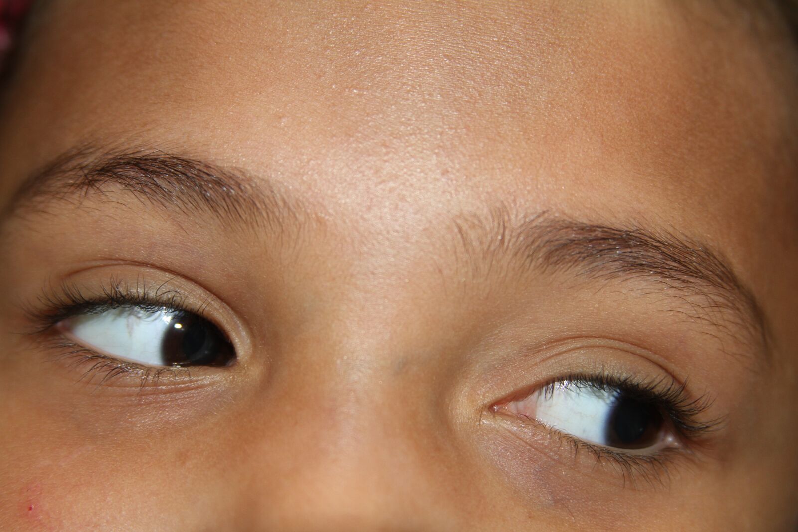 Canon EOS 7D sample photo. Eyes, young girl, face photography