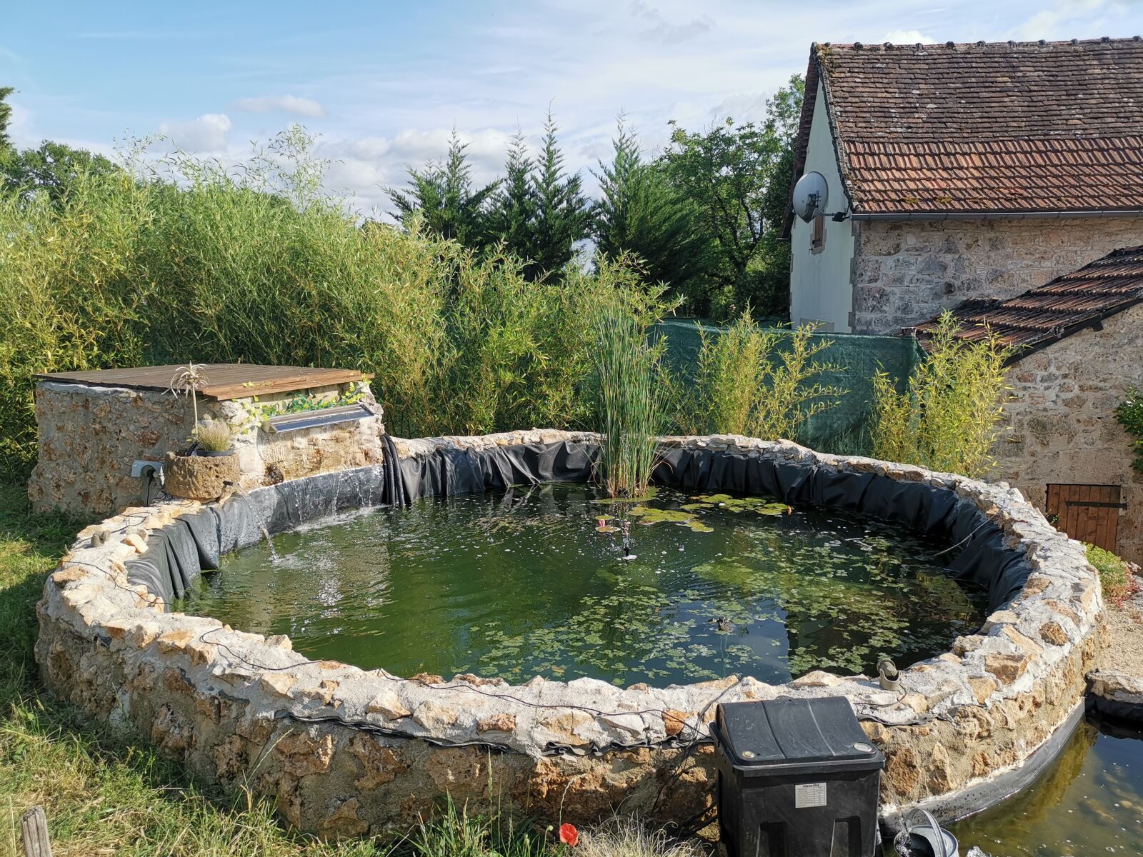 HUAWEI LYA-L29 sample photo. House, basin, reeds photography