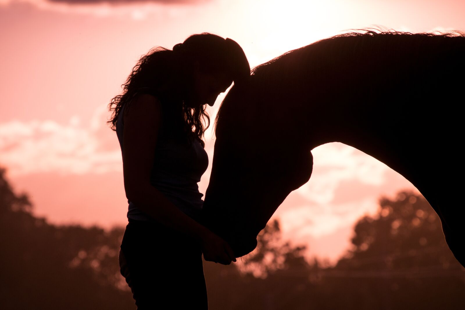Nikon D3300 sample photo. Horse, woman, animal photography