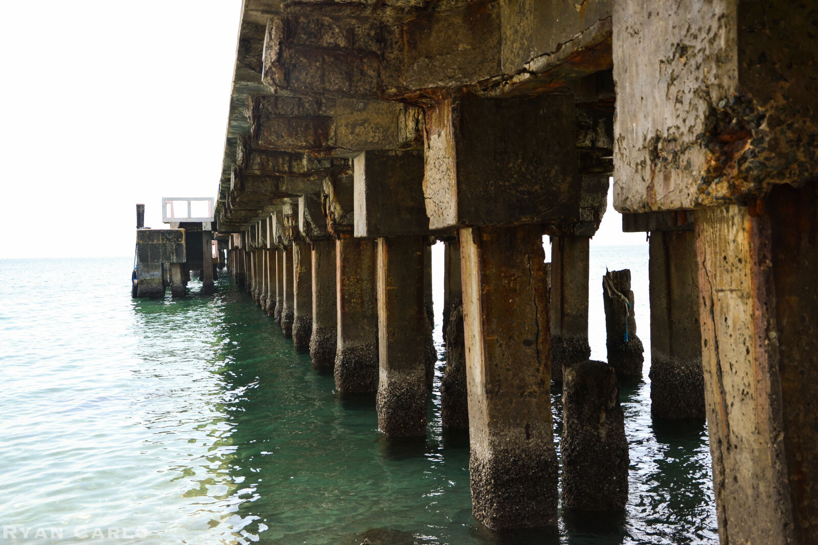 Nikon D3100 sample photo. Abandoned, bay, bridge, docks photography