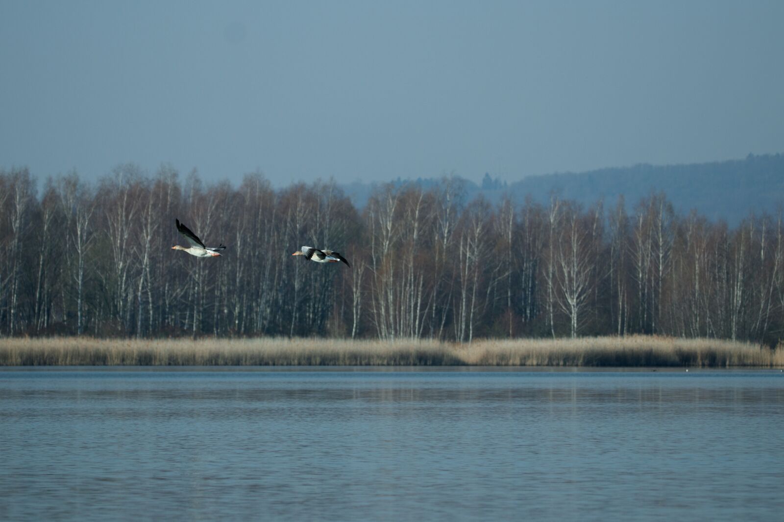 150-600mm F5-6.3 DG OS HSM | Contemporary 015 sample photo. Lake, bank, landscape photography