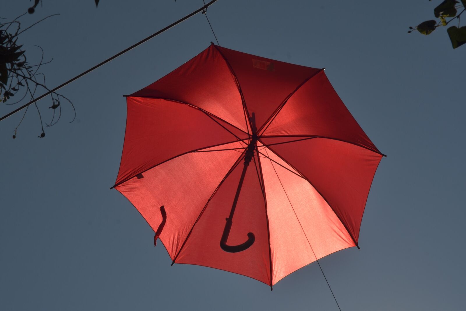 Nikon D7000 sample photo. Red, umbrella, heaven photography