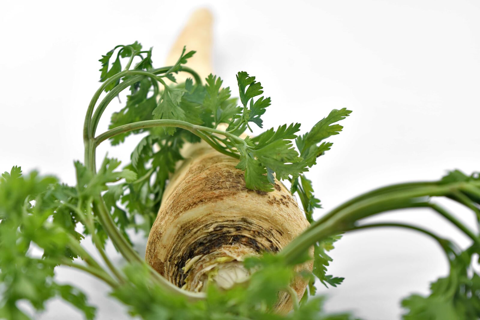 Nikon D5500 sample photo. Diet, food, minerals, parsley photography