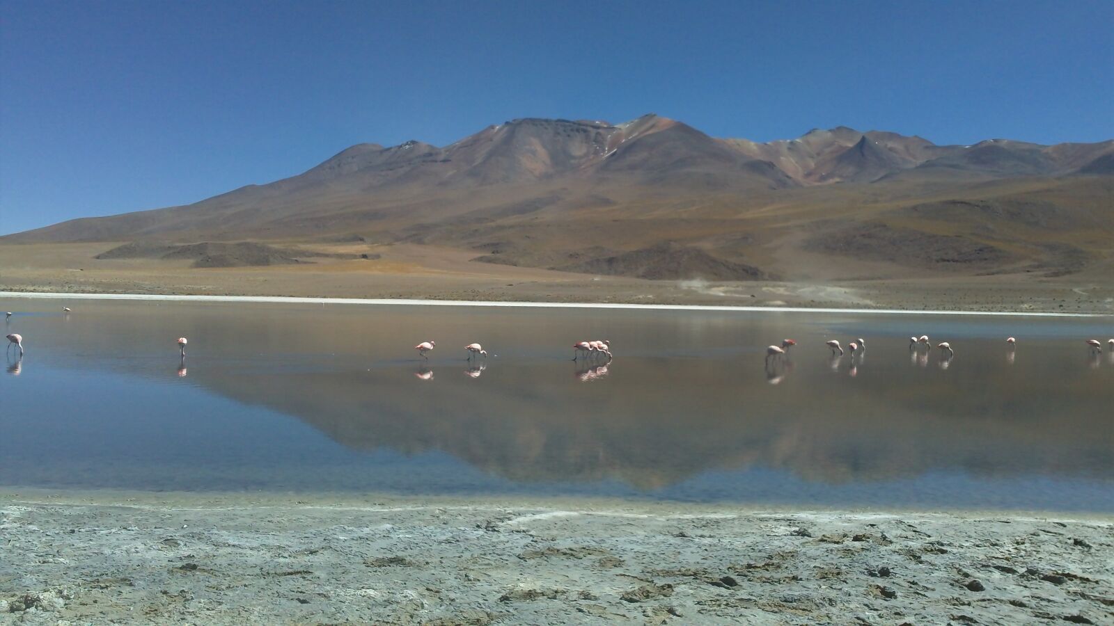 Kodak PLAYSPORT VIDEO CAMERA, ZX3 sample photo. Desert, bolivia, flamingos photography