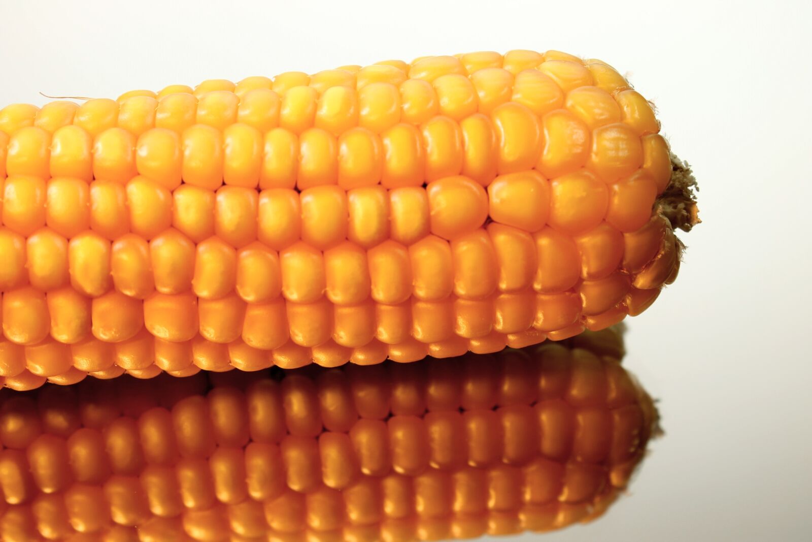 Canon EOS 1100D (EOS Rebel T3 / EOS Kiss X50) sample photo. Corn on the cob photography