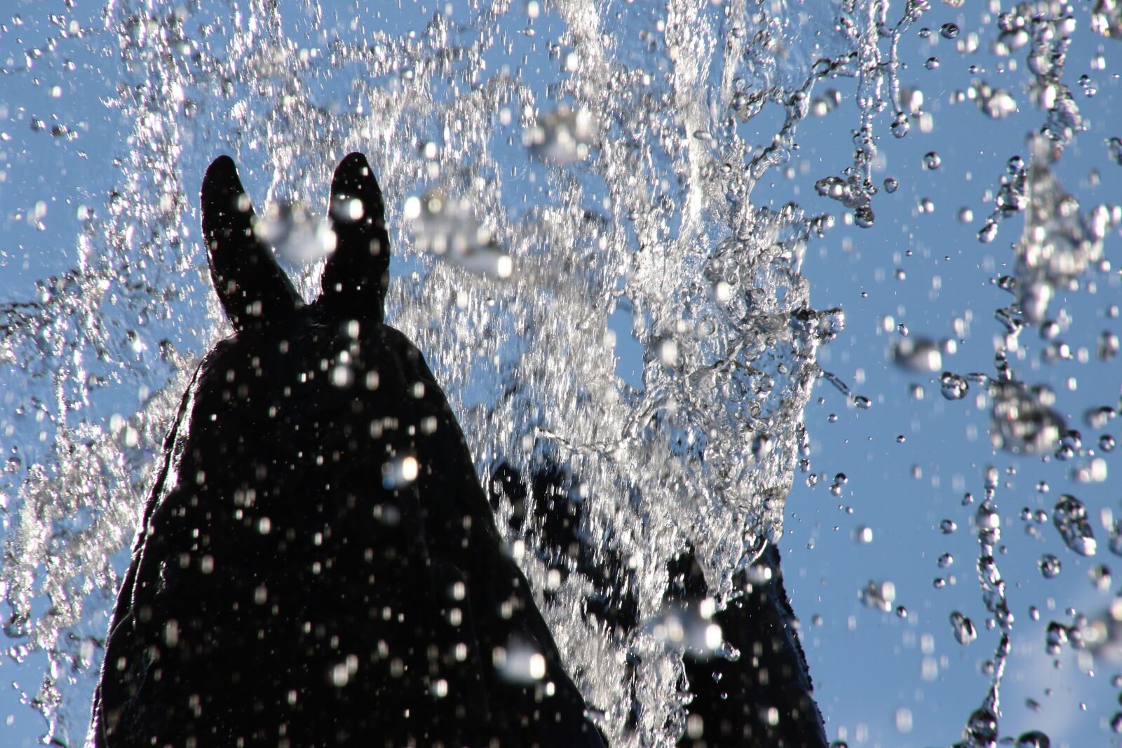 Canon EOS 7D Mark II sample photo. Blue, sky, dragon, drops photography