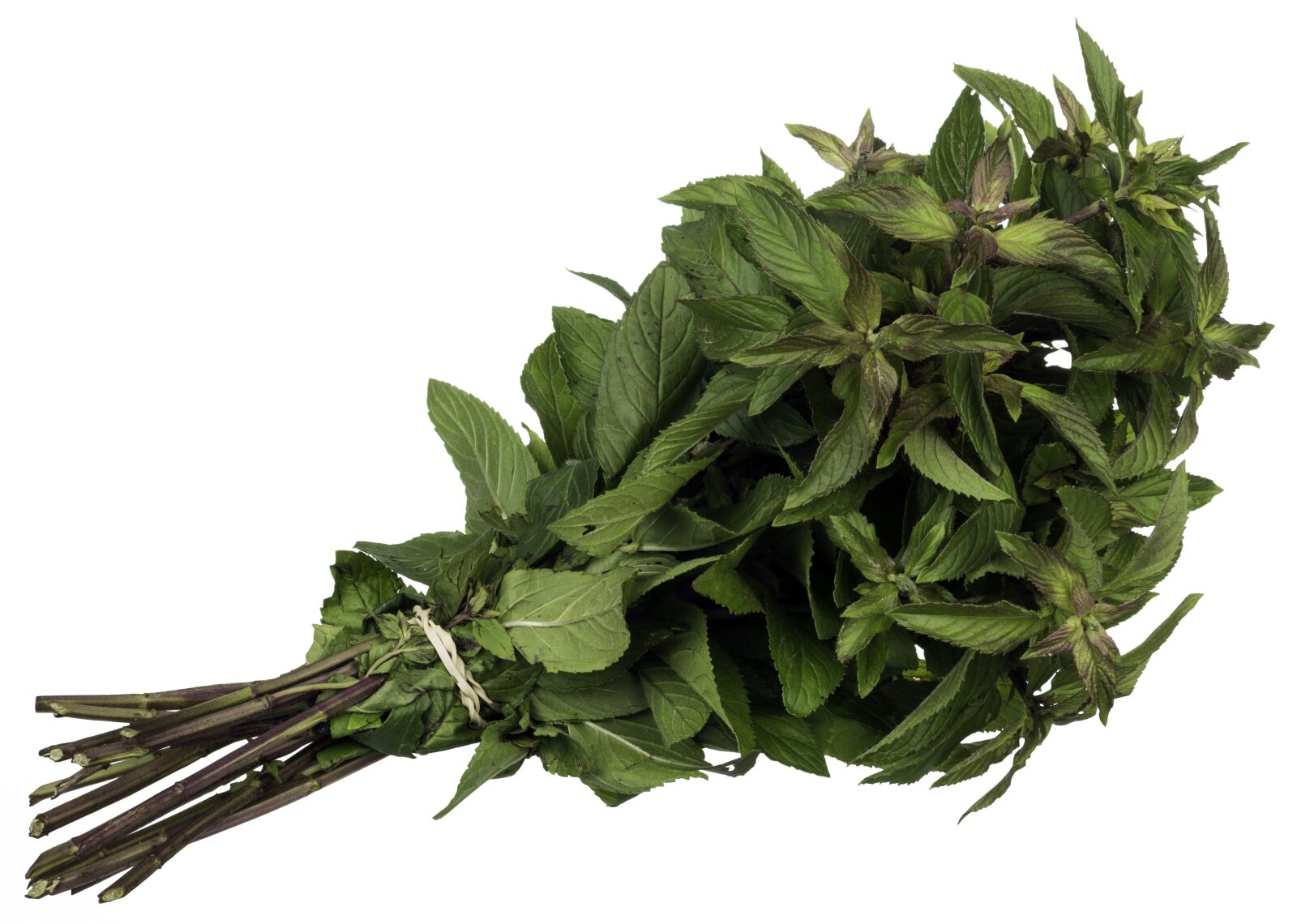 Nikon D7100 sample photo. Mint, spice, herb photography