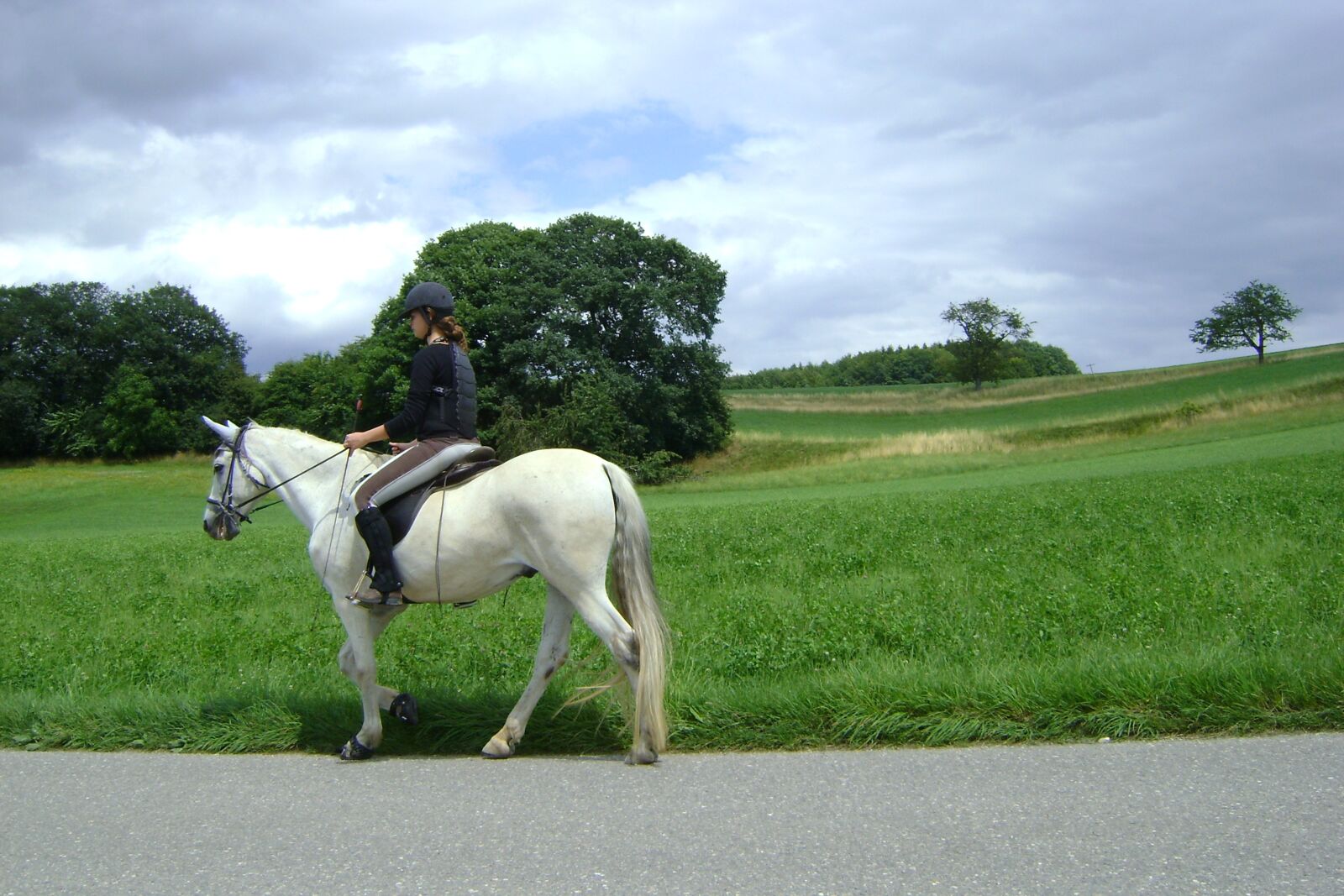 Sony DSC-S730 sample photo. White, horse, riding photography