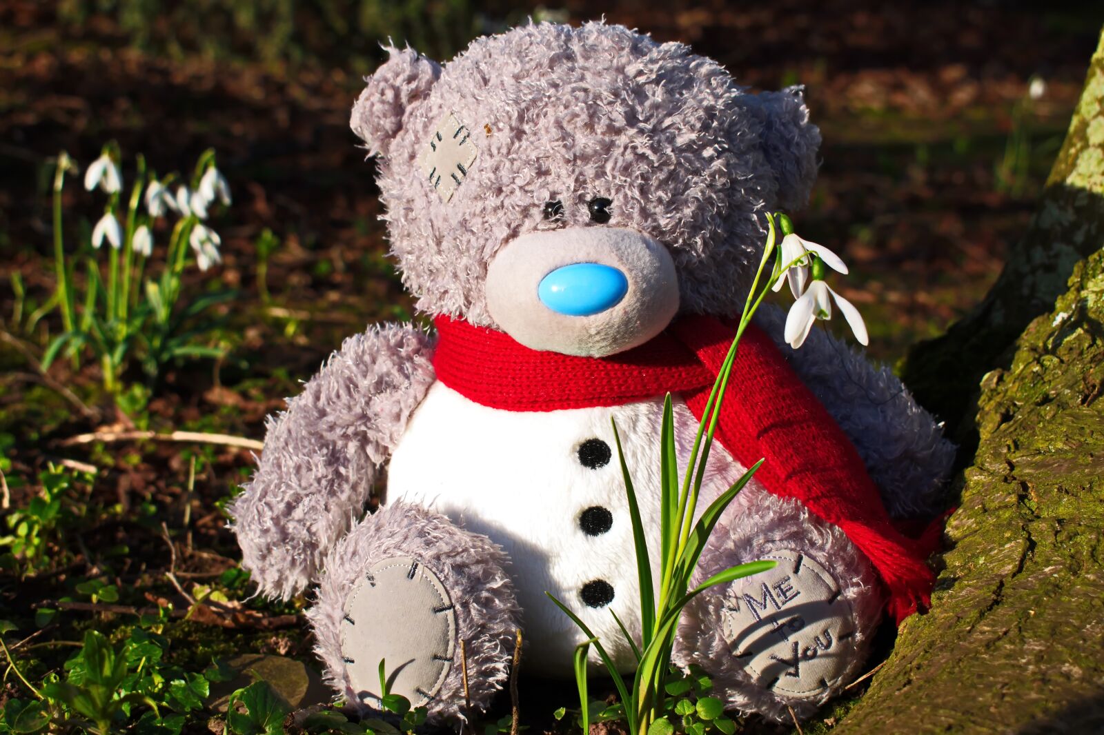 Nikon D3300 sample photo. Spring is here, spring photography