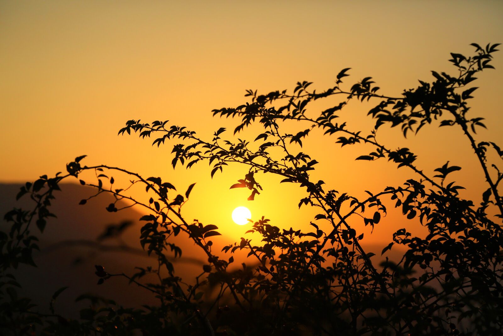 Canon EF 24-105mm F4L IS USM sample photo. Sunset, in the evening photography