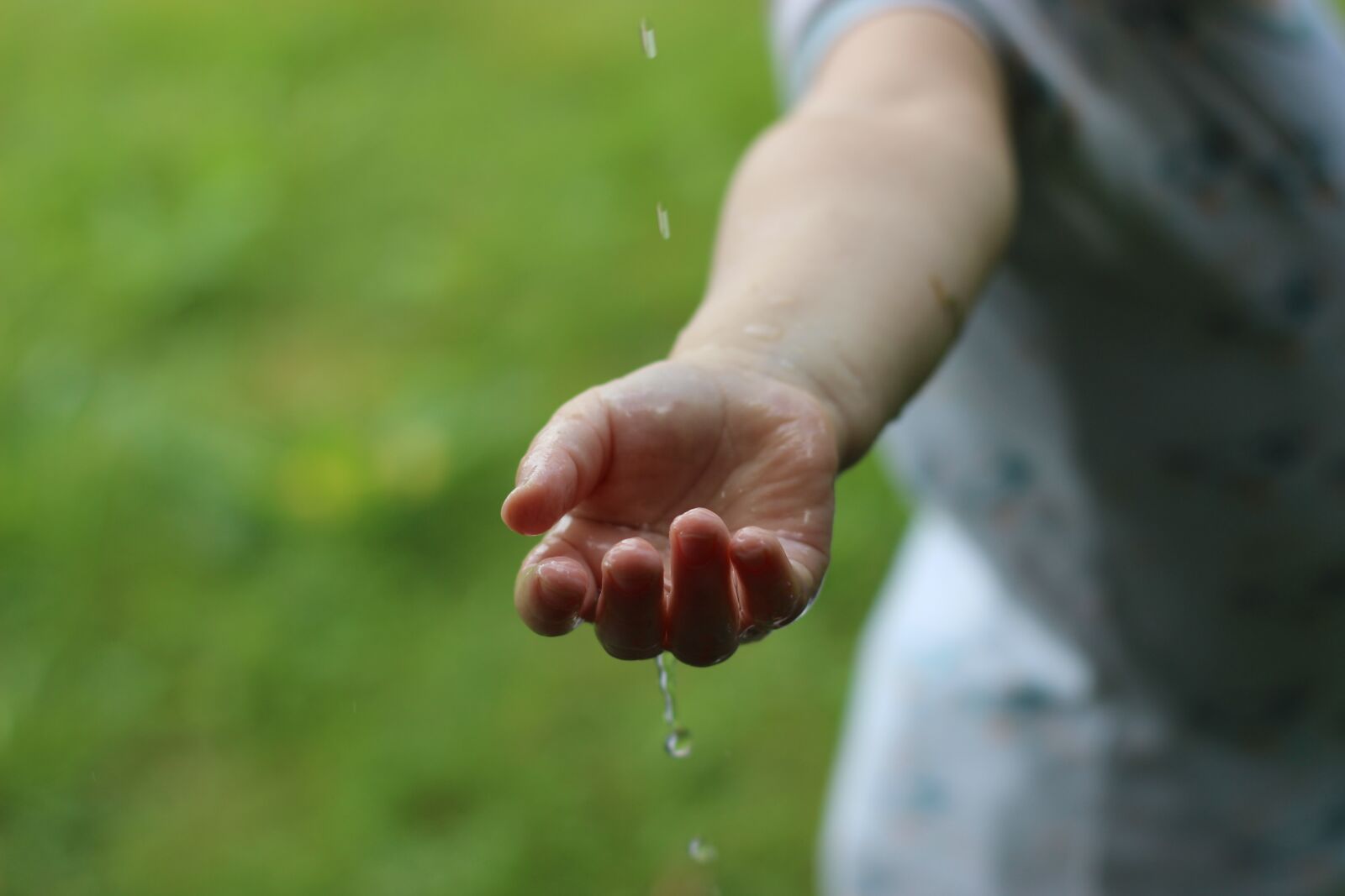 Canon EOS 600D (Rebel EOS T3i / EOS Kiss X5) + Canon EF 50mm F1.8 II sample photo. Rain, water, element photography