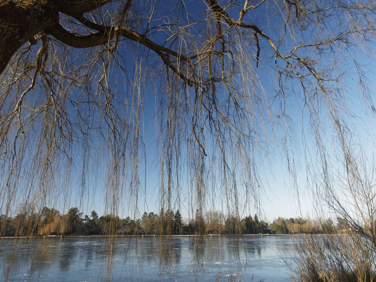 Olympus OM-D E-M1 + Olympus M.Zuiko Digital ED 12-40mm F2.8 Pro sample photo. Frozen lake, mix, lake photography