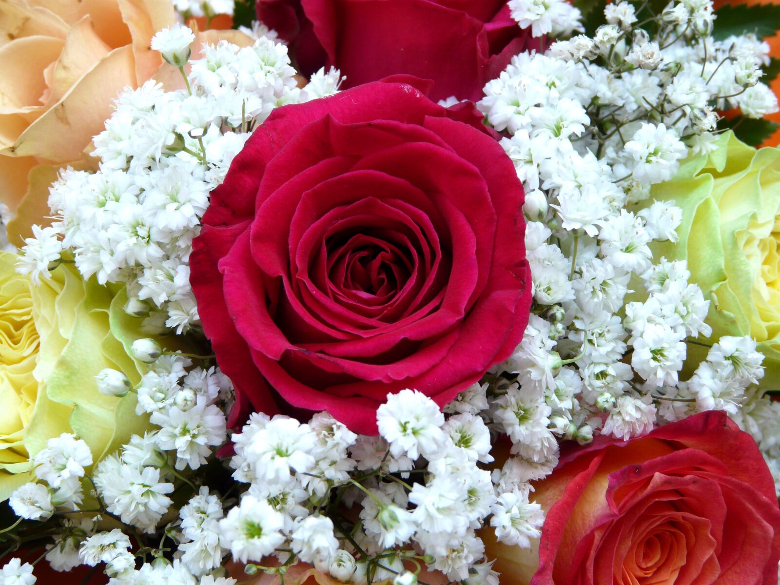 Panasonic DMC-FZ18 sample photo. Bouquet of flowers, red photography