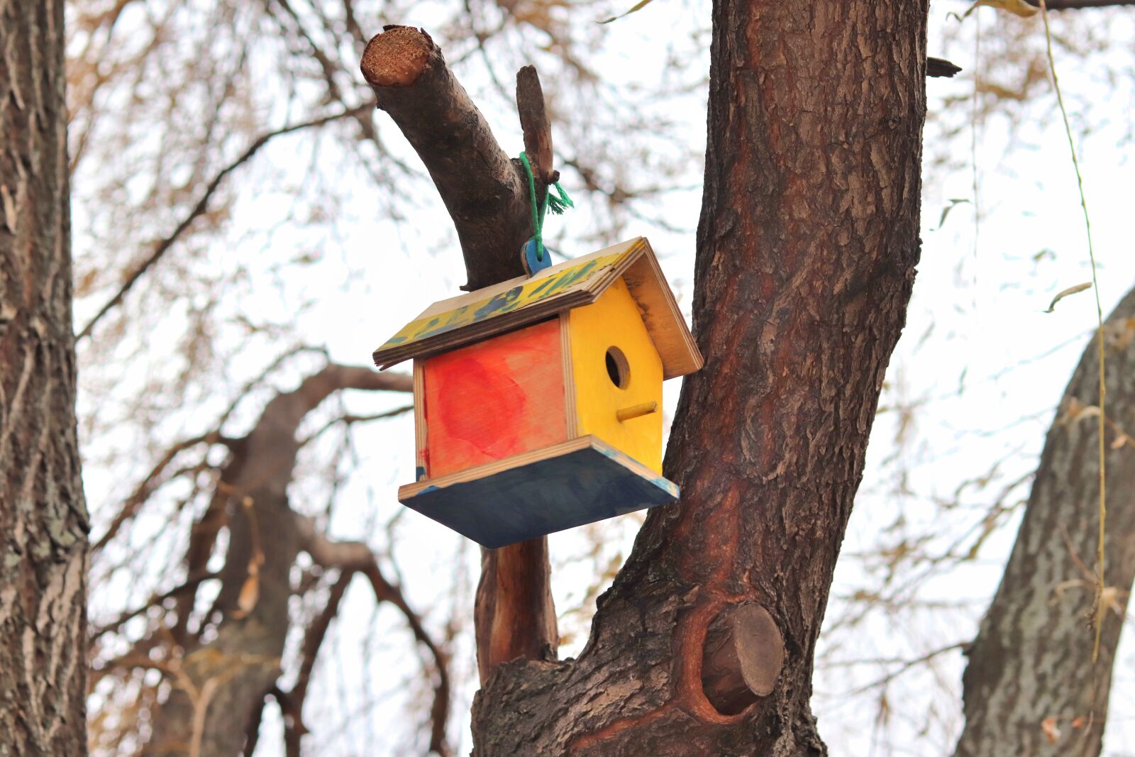 Canon EOS 200D (EOS Rebel SL2 / EOS Kiss X9) sample photo. Birdhouse, bird, cottage photography