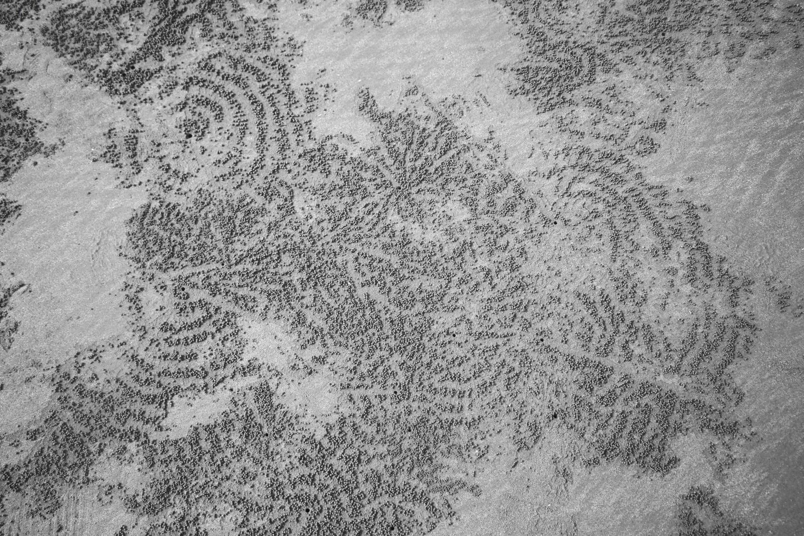 Canon EF-S 18-135mm F3.5-5.6 IS USM sample photo. Abstract, pattern, desktop photography
