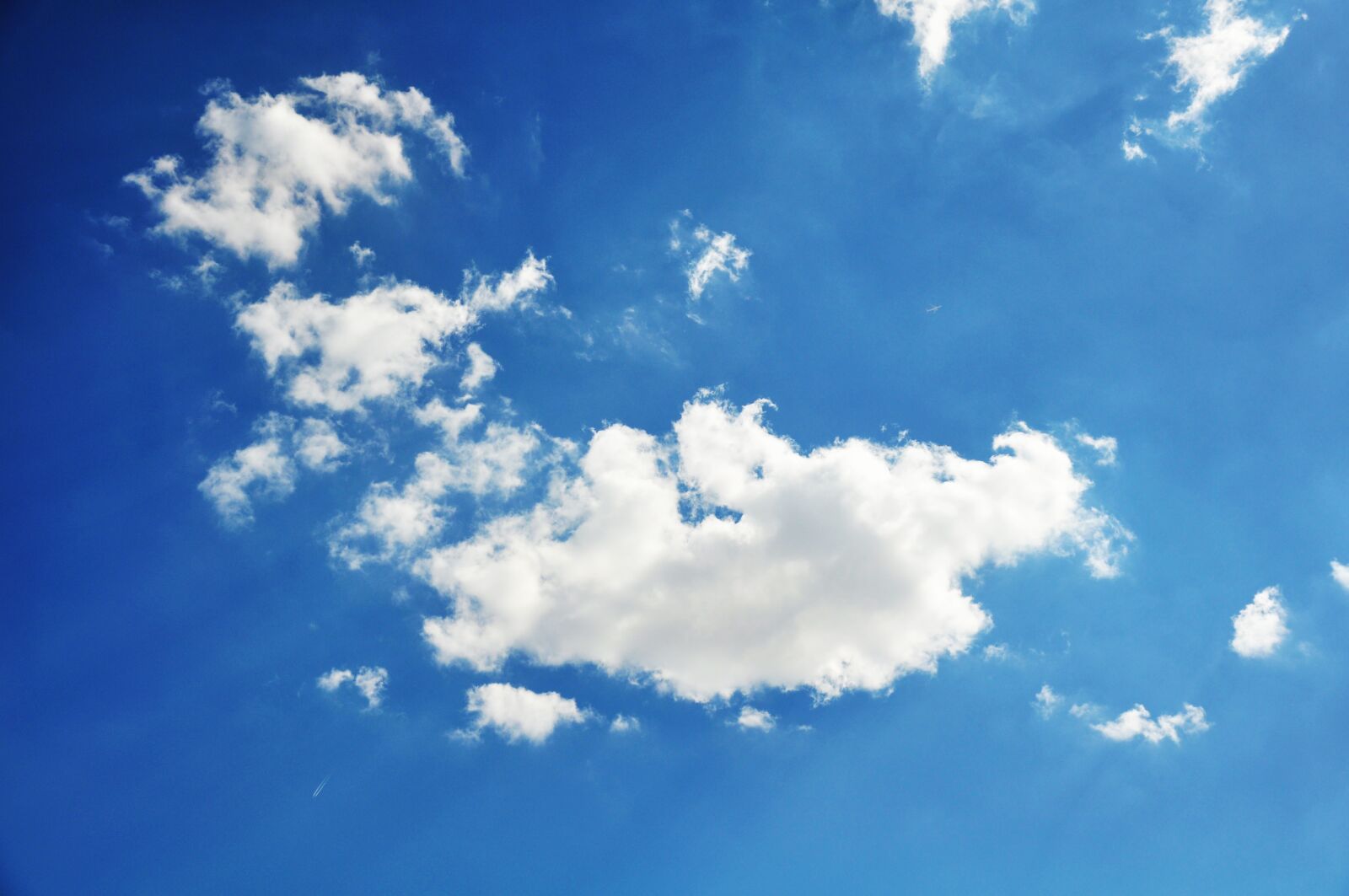 Nikon D90 sample photo. Clear blue sky, white photography