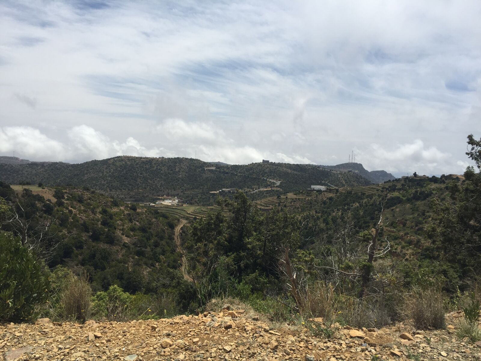 iPhone 6 back camera 4.15mm f/2.2 sample photo. Aseer, abha, souda photography