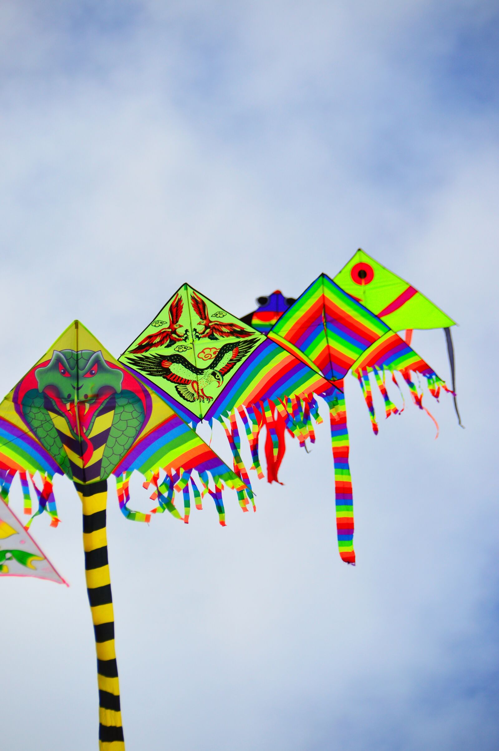 Nikon D3200 sample photo. Paper dragon, dragon, colorful photography