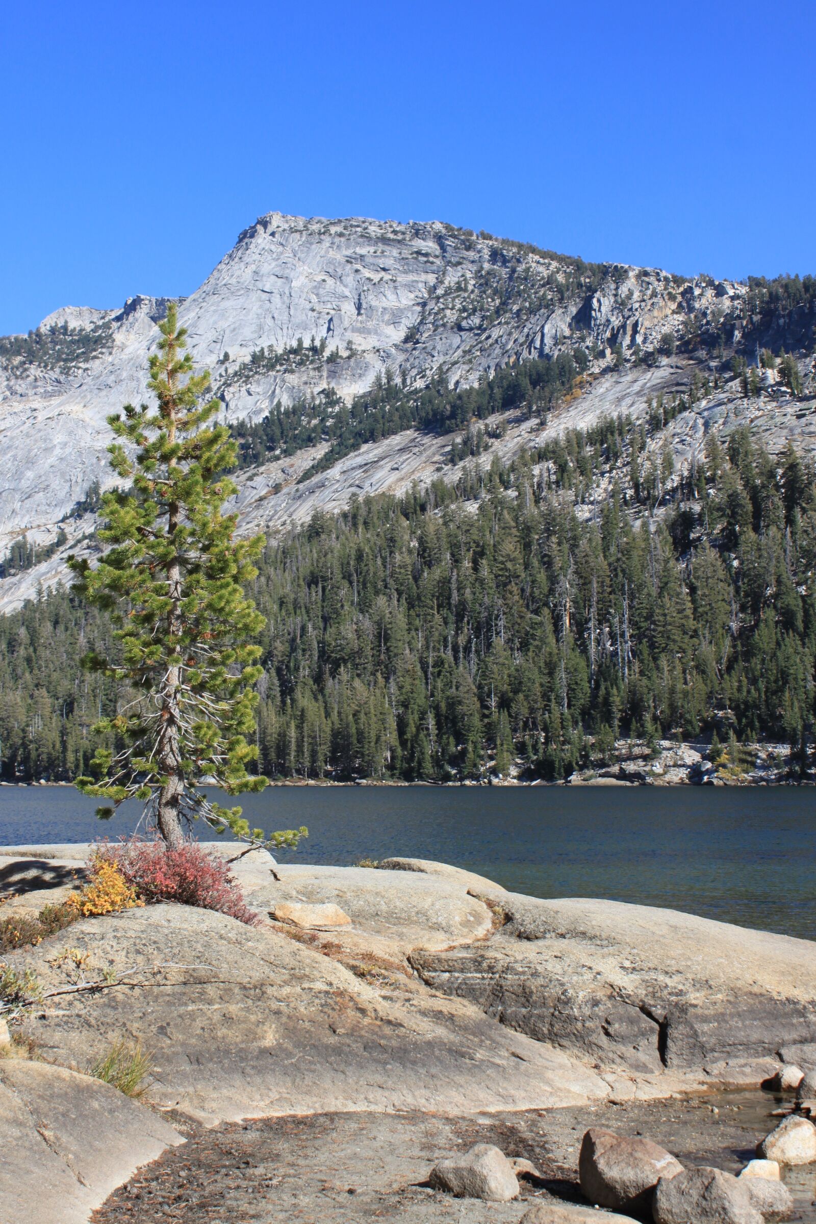 Canon EOS 500D (EOS Rebel T1i / EOS Kiss X3) sample photo. Yosemite, bergsee, usa photography