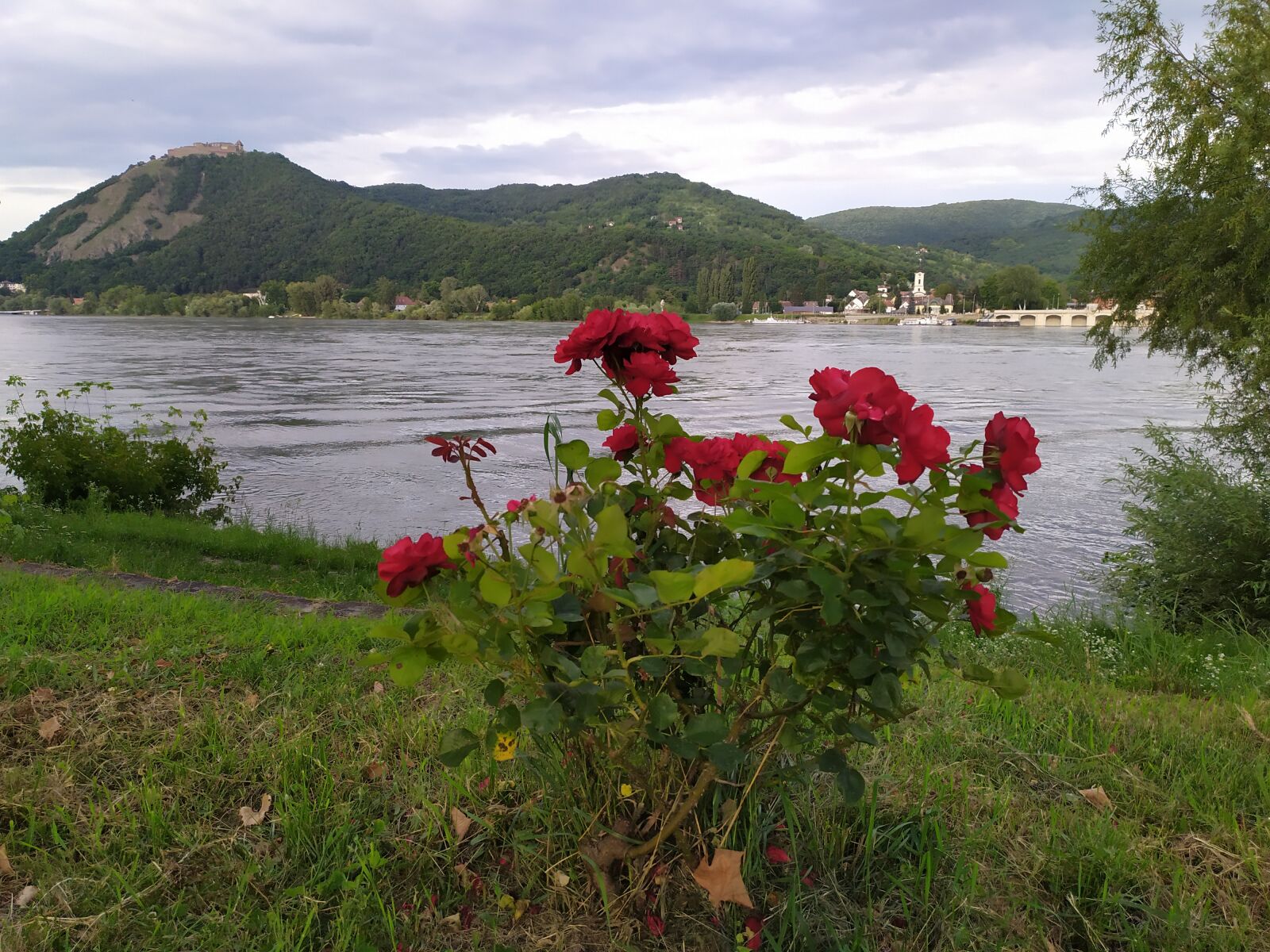 Xiaomi Redmi Note 7 sample photo. Nagymaros, danube, danube bend photography