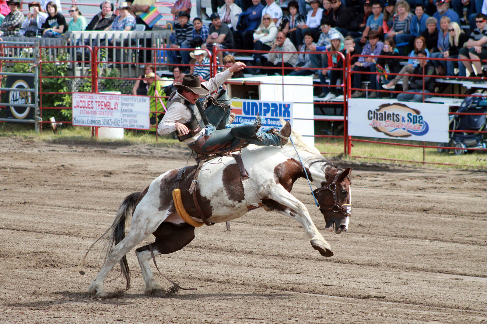 Canon EOS 1100D (EOS Rebel T3 / EOS Kiss X50) + Canon EF 75-300mm f/4-5.6 USM sample photo. Cowboy, horse, rodeo photography