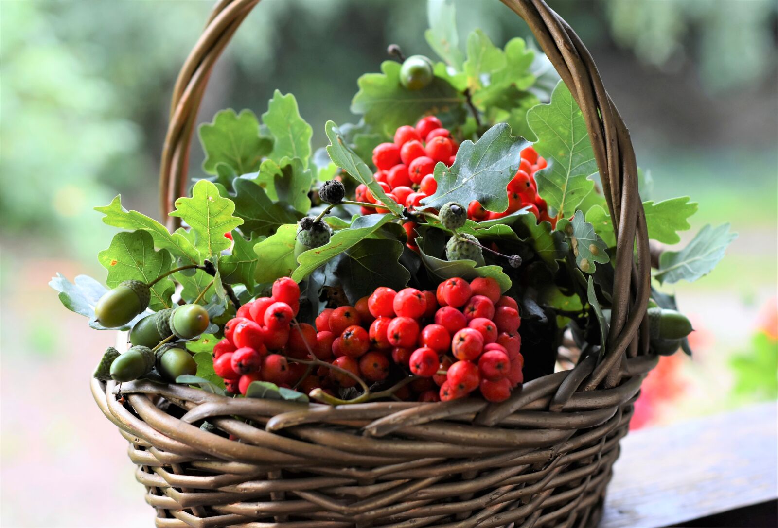 Nikon D7200 sample photo. Fruits, berries, fruit basket photography