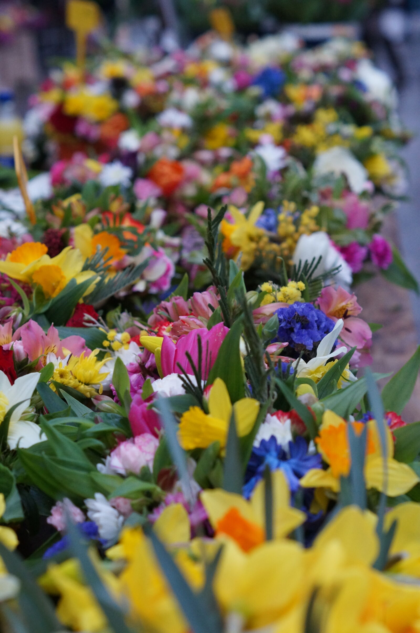 Sony SLT-A37 + Sony DT 50mm F1.8 SAM sample photo. Bright, colours, farmers, market photography