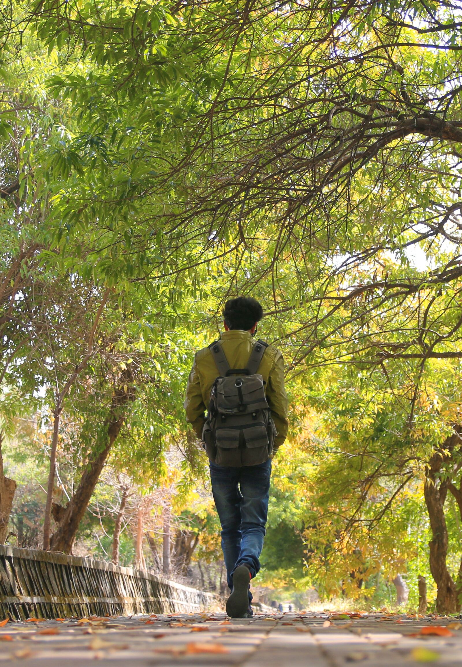 Canon EOS 70D sample photo. Tree, wood, nature photography