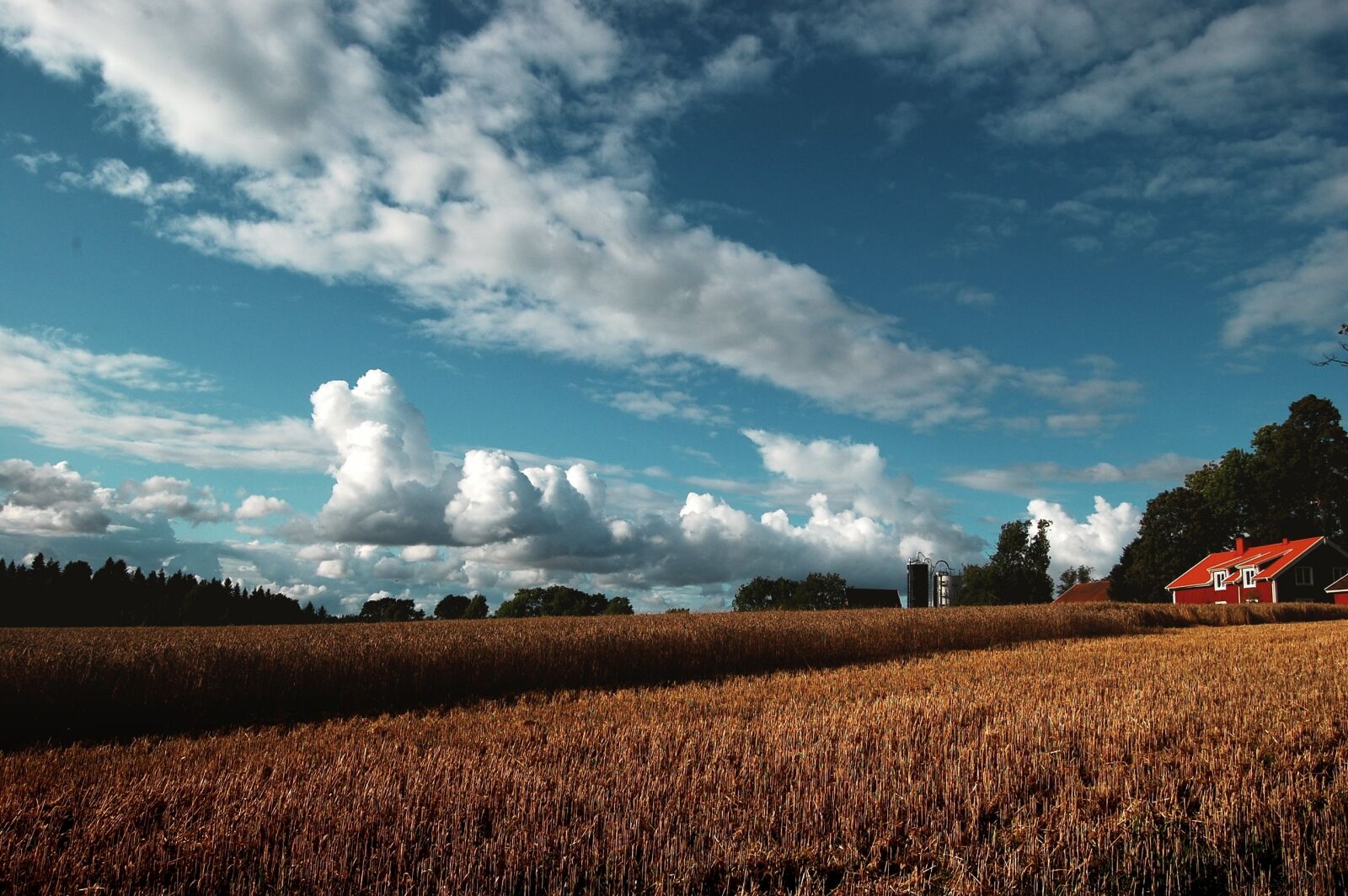 Nikon D40 + Nikon AF-S DX Nikkor 18-55mm F3.5-5.6G II sample photo. Agriculture, barn, clouds, countryside photography