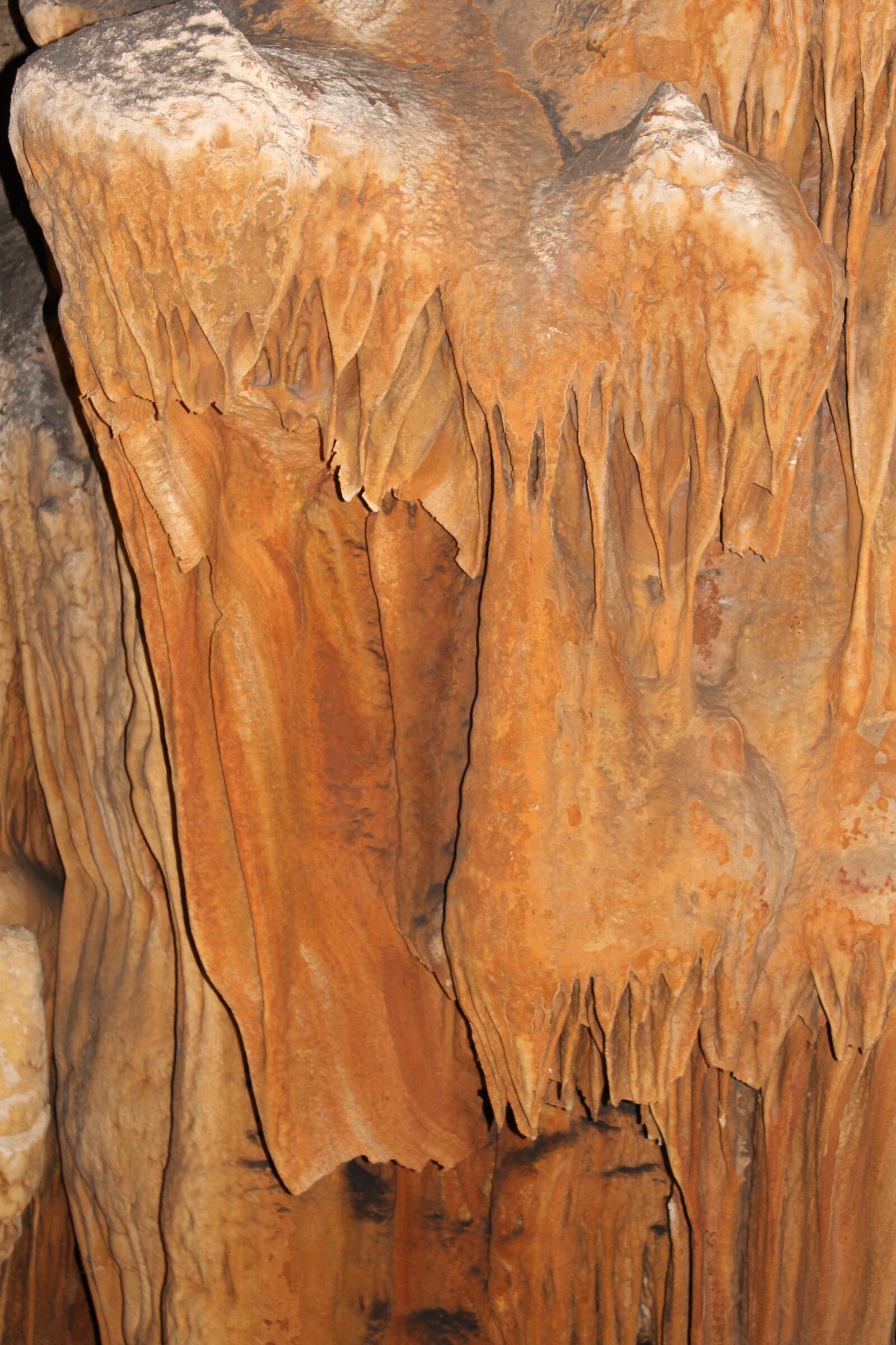 Canon EOS 1100D (EOS Rebel T3 / EOS Kiss X50) sample photo. Caves, bridesmaids, draped photography